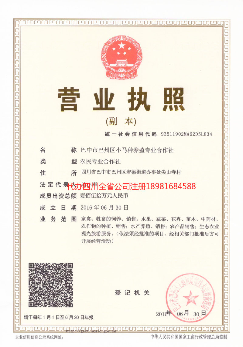 河间河间小马种养殖专业合作社